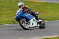 PJ-Motorsport-2019;anglesey-no-limits-trackday;anglesey-photographs;anglesey-trackday-photographs;enduro-digital-images;event-digital-images;eventdigitalimages;no-limits-trackdays;peter-wileman-photography;racing-digital-images;trac-mon;trackday-digital-images;trackday-photos;ty-croes
